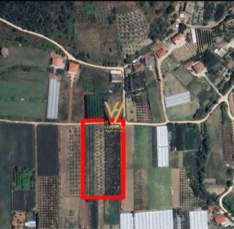 Tirane, shitet , 5.500 m² 210.000 € (NDROQ)