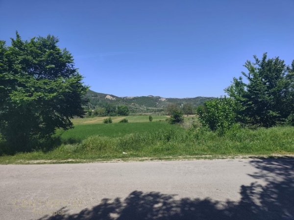 Tirane, shitet toke , 2.500 m² 300.000 € (Peze Helmes Tirana)