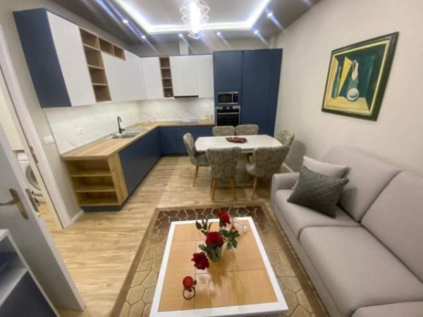 Tirane, jepet me qera apartament 1+1 Kati 9, 76 m² 500 Euro (Selvia)