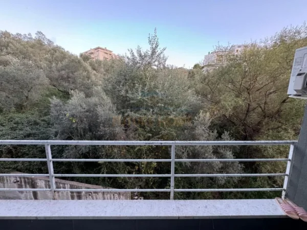 Tirane, shitet apartament 2+1 Kati 2, 107 m² 225.000 € (Kopshti Zoologjik)