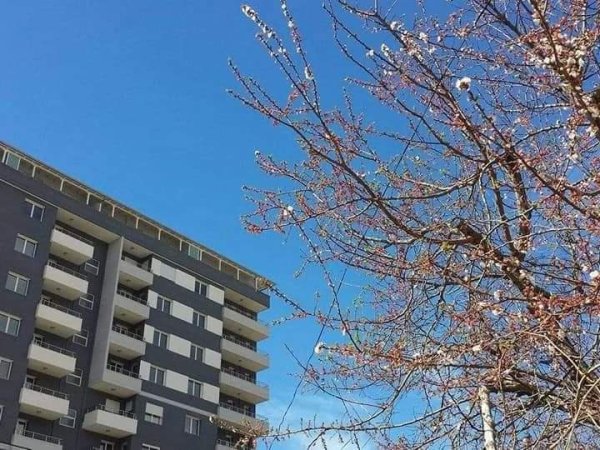 Vlore, jepet me qera apartament 1+1 Kati 1, 78 m² 50 € (Cameria Vlore)