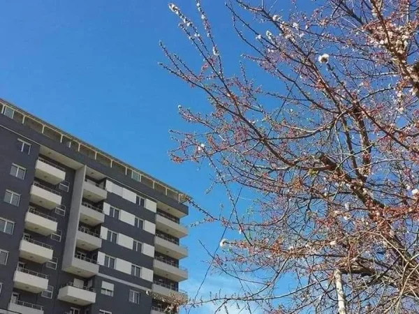 Vlore, jepet me qera apartament 1+1 Kati 1, 78 m² 50 € (Cameria Vlore)