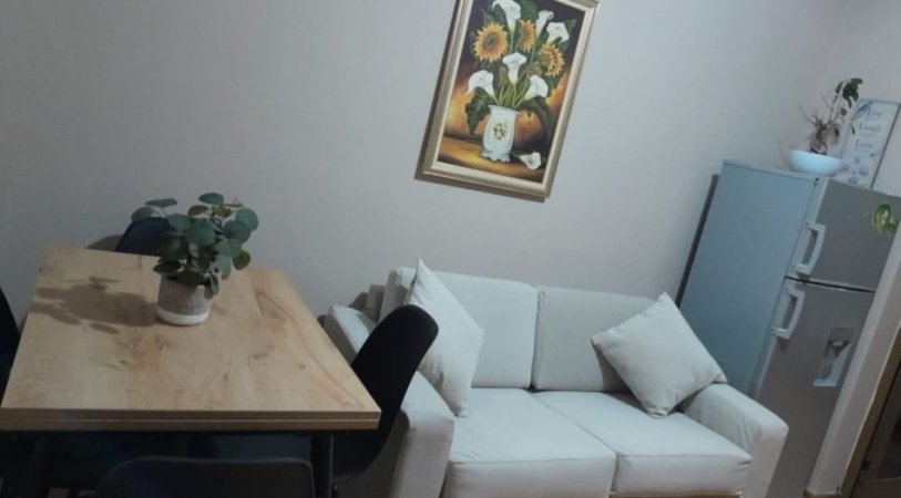 Tirane, jepet me qera garsonier 1+1 Kati 2, 50 m² 450 € (Vasil Shanto)