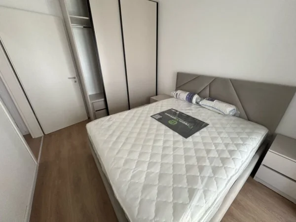 Tirane, jepet me qera apartament 1+1 Kati 5, 65 m² 400 € (ali demi)