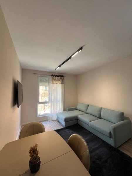 Tirane, jepet me qera apartament 1+1+Ballkon Kati 1, 67 m² 600 € (ali demi)