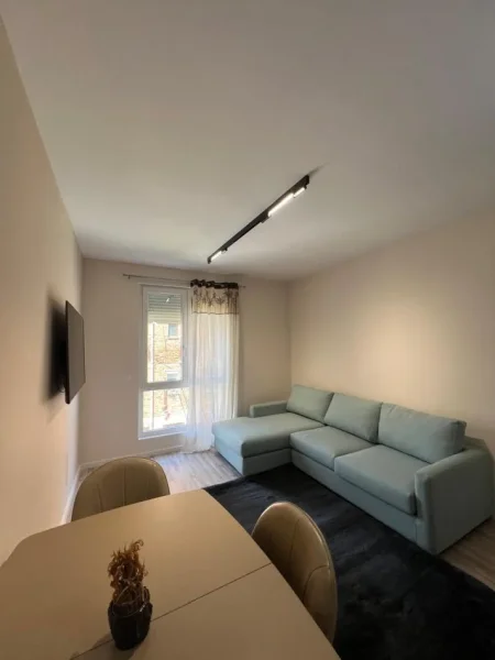 Tirane, jepet me qera apartament 1+1+Ballkon Kati 1, 67 m² 600 € (ali demi)