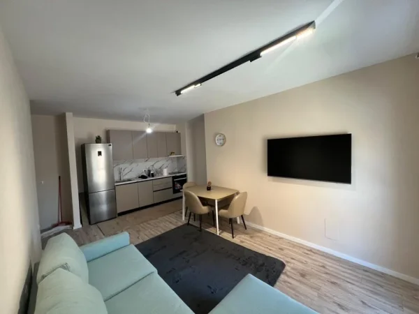 Tirane, jepet me qera apartament 1+1+Ballkon Kati 1, 67 m² 600 € (ali demi)