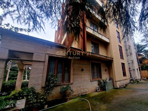 Tirane, jap me qera ambjent biznesi , 984 m² 20.000 € (BLV. &quot;BAJRAM CURRI&quot;,)