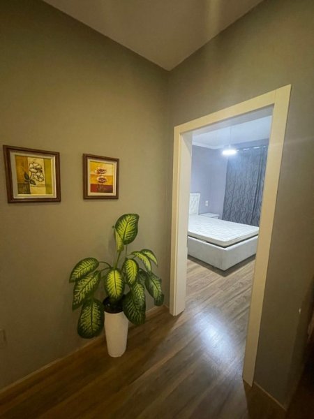 Tirane, jap me qera apartament 1+1 Kati 10, 650 € (rr. Tish Daija)
