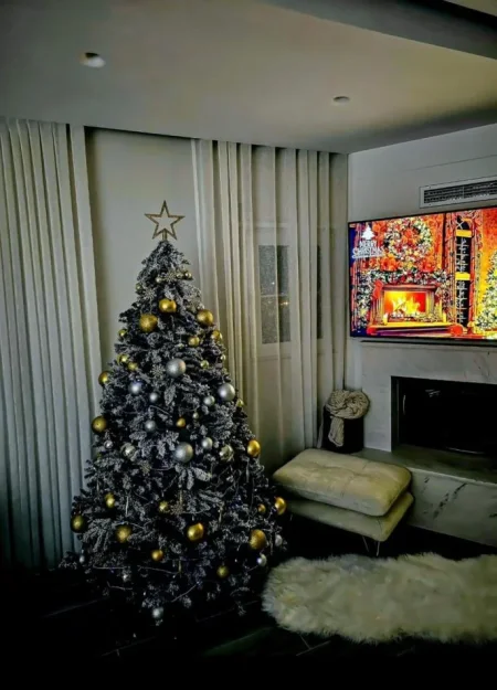 Tirane, shitet apartament 2+1 Kati 4, 176 m² 215.000 € (Linze- Rruga e Dajtit, perballe rezidences Platea.)