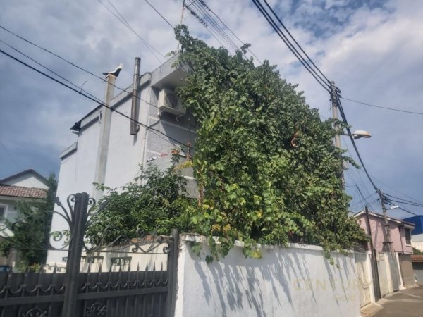 Tirane, shitet Vile 2 Katshe Kati 2, 190 m² 170.000 € (Rruga Lunxheri)