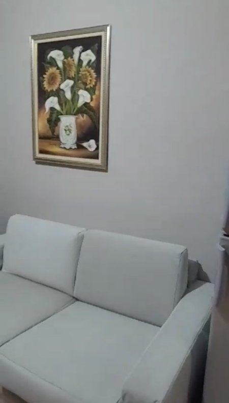 Tirane, jepet me qera 1+1 Kati 2, 60 m² 480 € (Vasil Shanto)