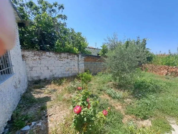 Kavaje, shitet shtepi 1 Katshe , 188 m² 80.000 € (Shetitorja Josif Budo)