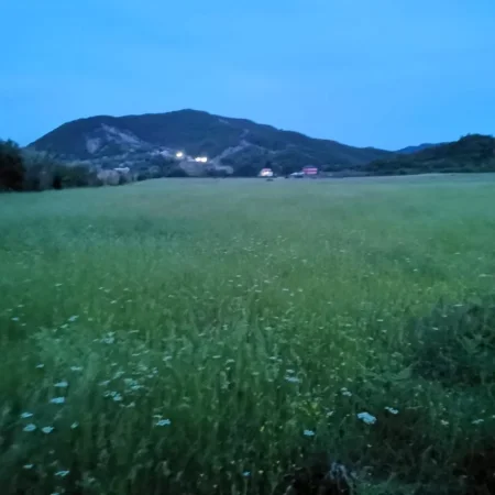 Tirane, shitet toke bujqesore , 2.000 m² (Damjan-Fortuzaj, Tirane)