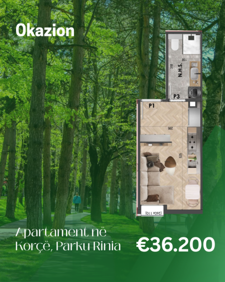 Korce, shitet garsonier 1+1 Kati 0, 30 m² 36.200 € (Parku Rinia)