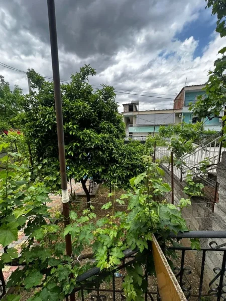 Tirane, shitet Vile 2 Katshe Kati 2, 500 m² 247.000 € (jordan misja)
