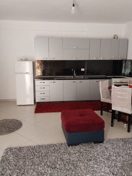 Tirane, jepet me qera 2+1 Kati 2, 350 € (Freske)
