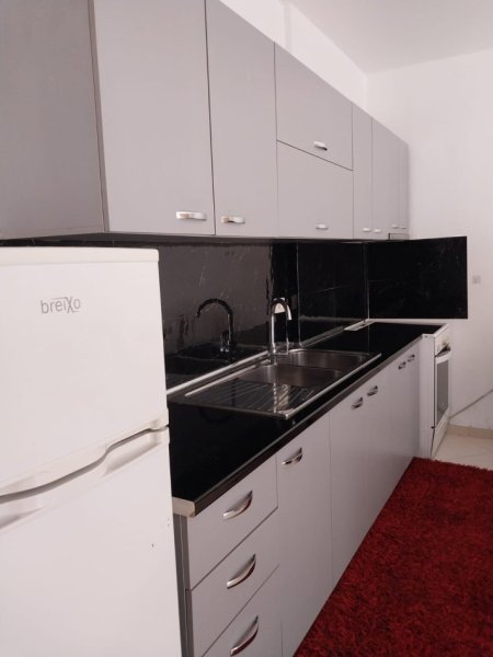 Tirane, jepet me qera 2+1 Kati 2, 350 € (Freske)