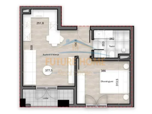 Tirane, shitet apartament 1+1 Kati 1, 64 m² 97.000 € (Rruga e Kokonozeve, Tirane)