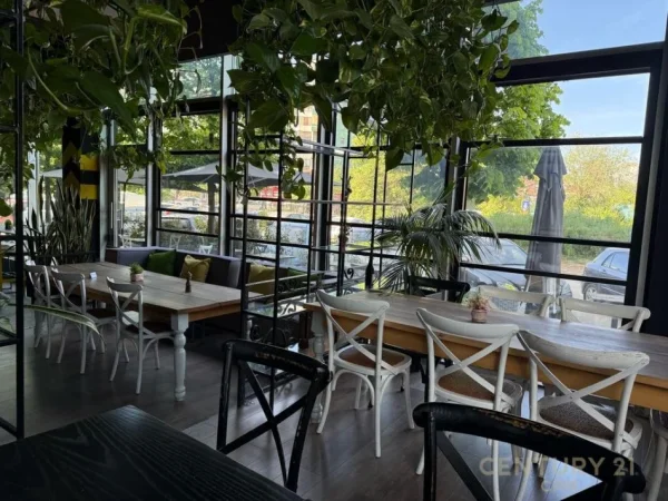 Tirane, shitet bar-kafe Kati 0, 326 m² 79.999 € (Pallati me Shigjeta)