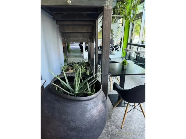 Tirane, shitet bar-kafe Kati 0, 326 m² 79.999 € (Pallati me Shigjeta)