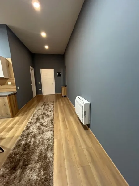 Tirane, jepet me qera apartament 1+1 Kati 1, 650 € (Rruga Peti, Liqeni i Thate)