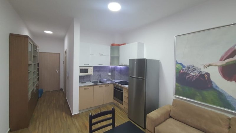 Tirane, jepet me qera apartament 1+1+Ballkon Kati 2, 50 m² 570 € (Komuna e Parisit,Rruga Tish Dahia)