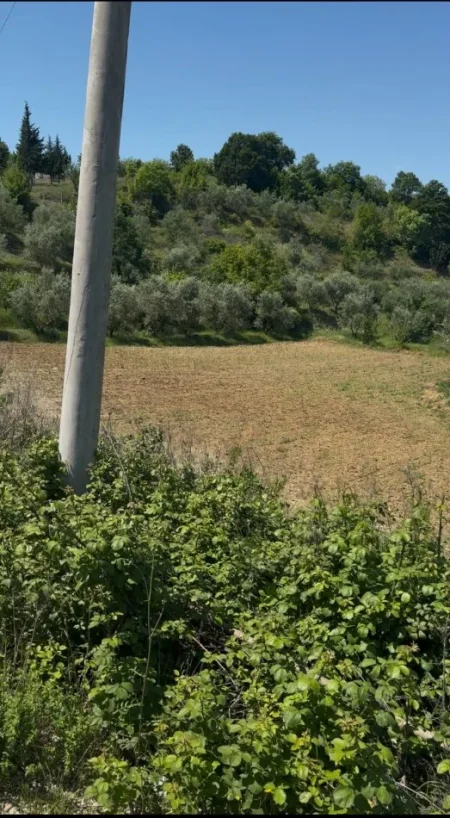 Elbasan, shitet toke , 3.600 m² (Rruga Kryesore Unaza Belsh)