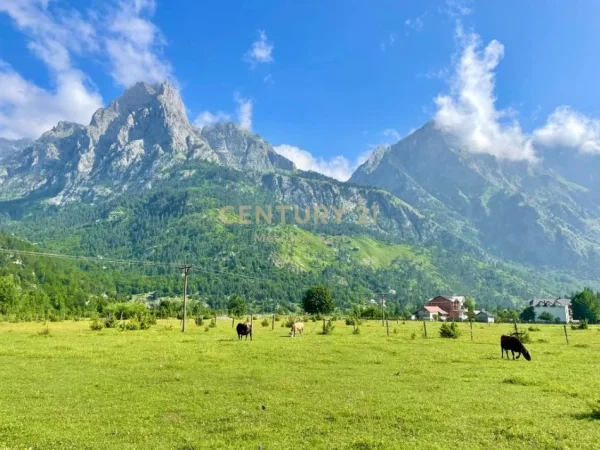 Tropoje, shitet toke , 2.000 m² 200.000 € (Rruga Azem Hajdari)