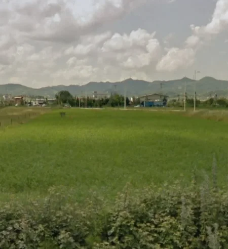 Tirane, shitet toke , 4.540 m² (Rruga e Rinasit)