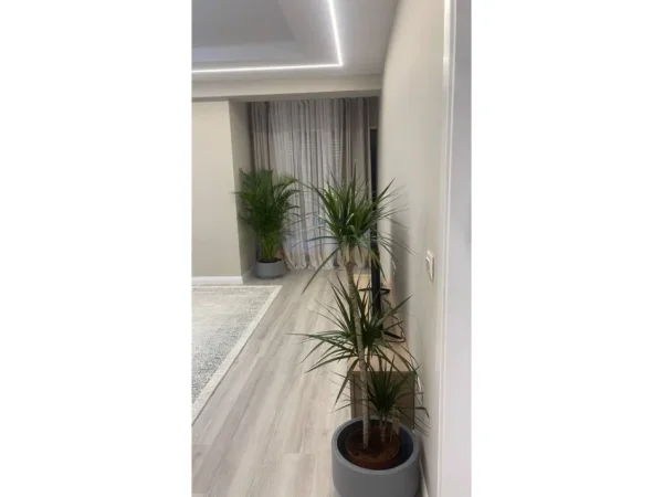 Tirane, jepet me qera apartament 1+1 Kati 1, 63 m² 600 € (Kodra e Diellit 2)