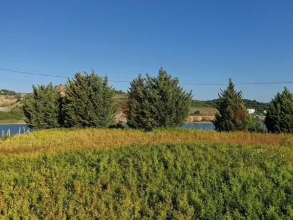 Shitje, Toke-Are buze Liqenit ne Vore