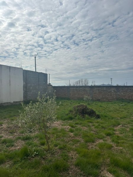 Durres, shitet Vile ne plazh 4+1 , 1.800 m² 300.000 € (Qerret, Kavaje)