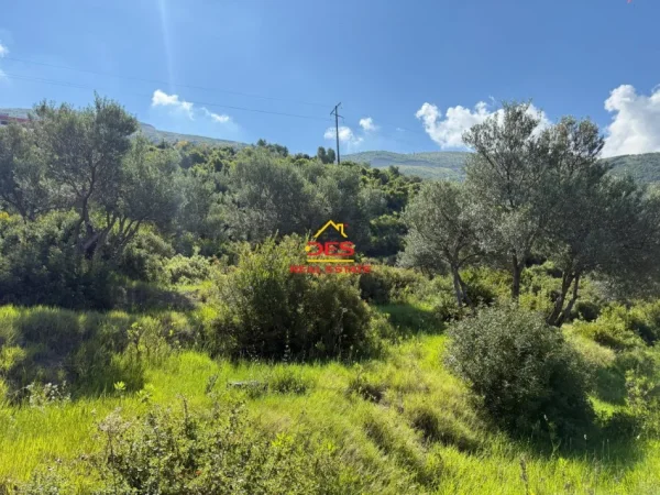 Vlore, shitet toke , 1.200 m² 270.000 € (Rruga Dhimitër Konomi)