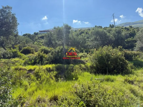 Vlore, shitet toke , 1.200 m² 270.000 € (Rruga Dhimitër Konomi)