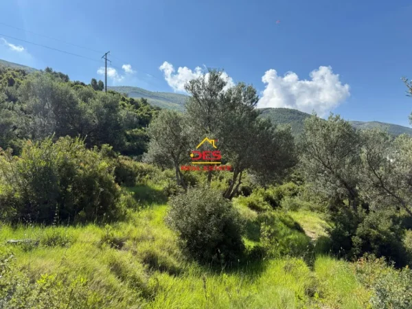 Vlore, shitet toke , 1.200 m² 270.000 € (Rruga Dhimitër Konomi)