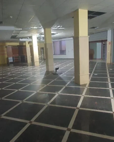 Tirane, shitet ambjent biznesi Kati 2, 996 m² 1.600.000 € (RRUGA E ELBASANIT)