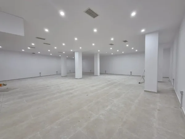 Tirane, shitet ambjent biznesi Kati -1, 230 m² 230.000 € (DREJTORIA E POLICISE)