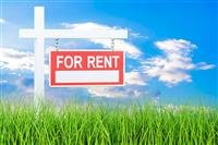 Tirane, jepet me qera toke , 4.000 m² (Kashar)