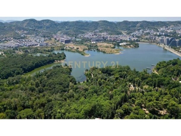 Tirane, jepet me qera zyre Kati 11, 160 m² 1.600 € (Garda)