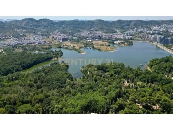 Tirane, jepet me qera zyre Kati 11, 160 m² 1.600 € (Garda)