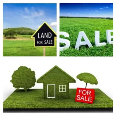 shitet toke , 700 m² 90.000 €