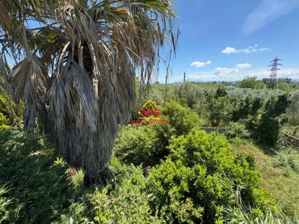 Fier, shitet shtepi 2+1+Ballkon Kati 0, 117 m² 55.000 € (Ferras, Fier)