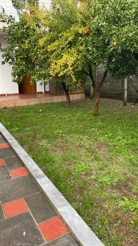 Tirane, jepet me qera shtepi 1+1+Ballkon Kati 0, 52 m² 225 € (rruga perparimi)