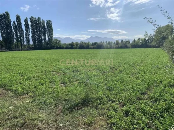 Tirane, shes toke , 18.480 m² 592.000 € (Rinas)