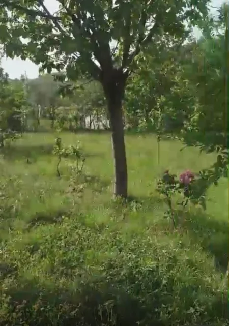 Tirane, shitet toke bujqesore , 1.575 m² (Ibe)