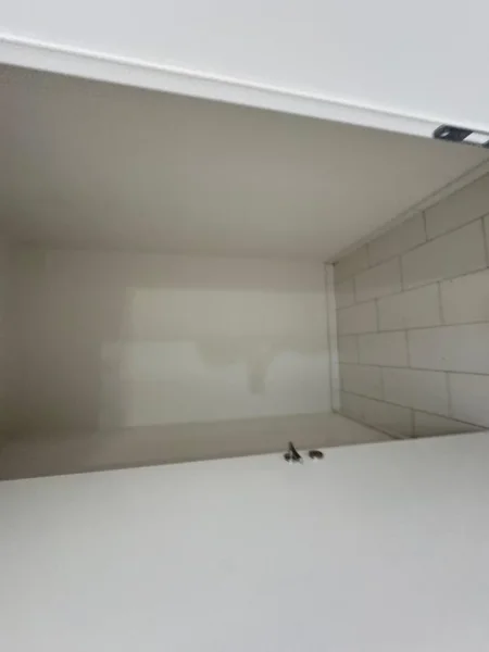Tirane, jepet me qera apartament 1+1 Kati 10, 70 m² 450 € (kompleksi golden park)
