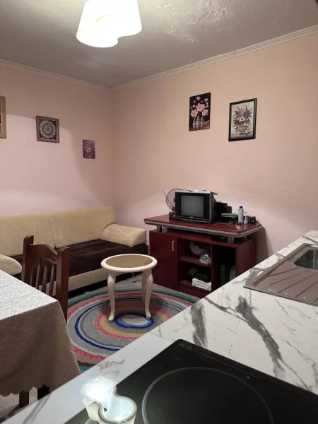 Tirane, jepet me qera Vile 1+1+Ballkon Kati 2, 55 m² 400 € (Myslym Shyri)