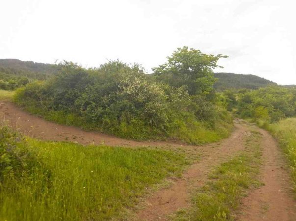 Permet, shitet toke bujqesore , 6.741 m² (Qilarisht,Përmet)