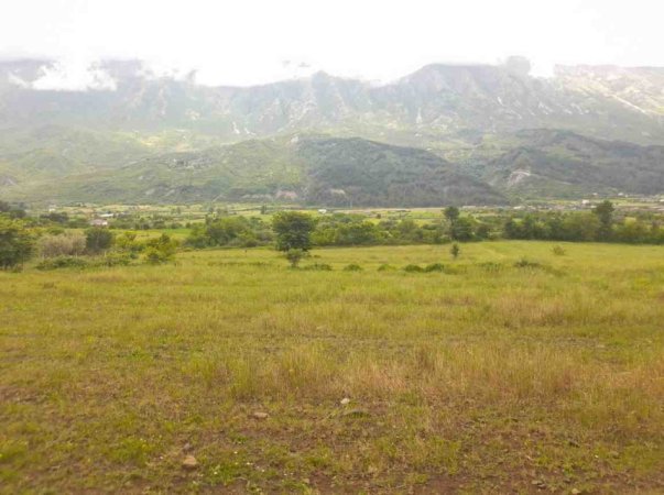 Permet, shitet toke bujqesore , 6.741 m² (Qilarisht,Përmet)